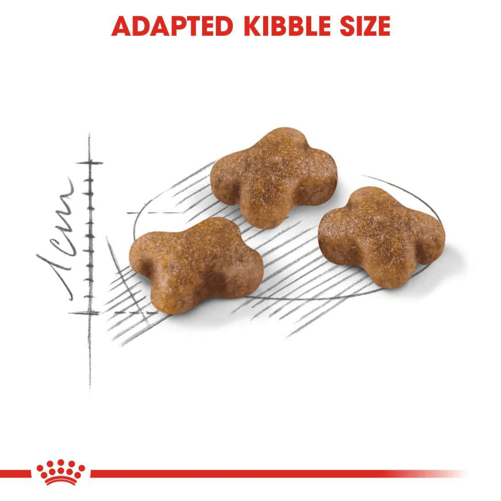 Royal Canin Kitten - 400g 3