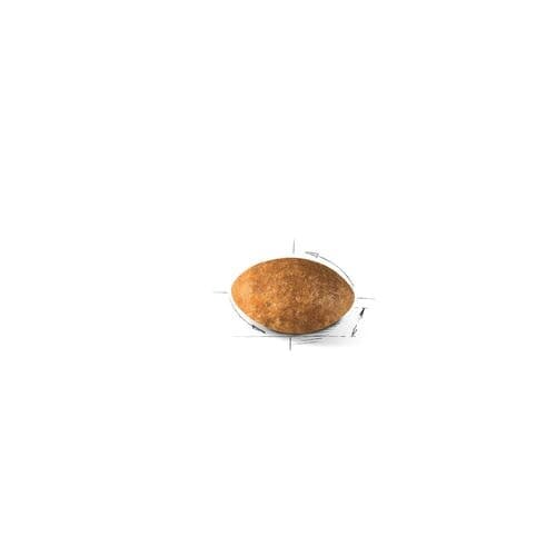 Royal Canin Persian Adult - 400g 3