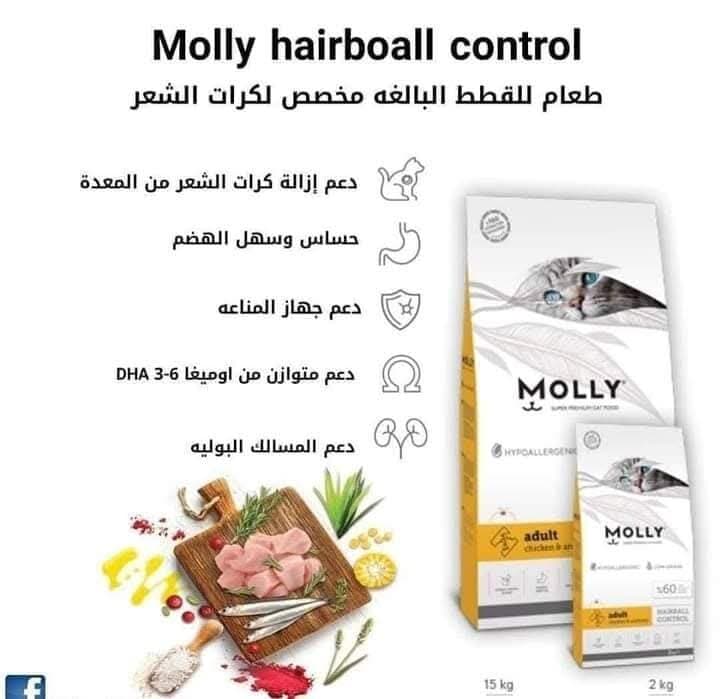 Molly Chicken & Anchovy - 2kg 2