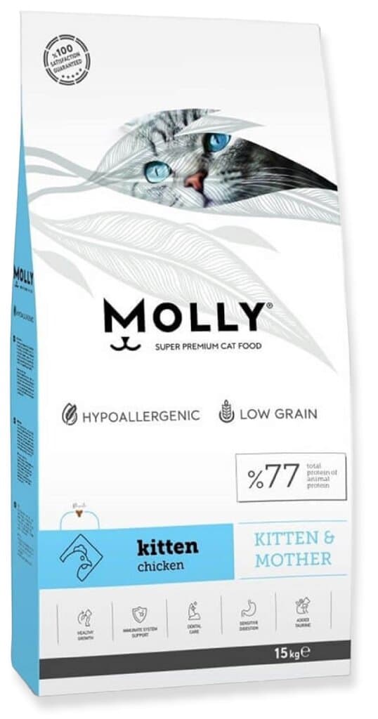 Molly Kitten & Mother - 2kg