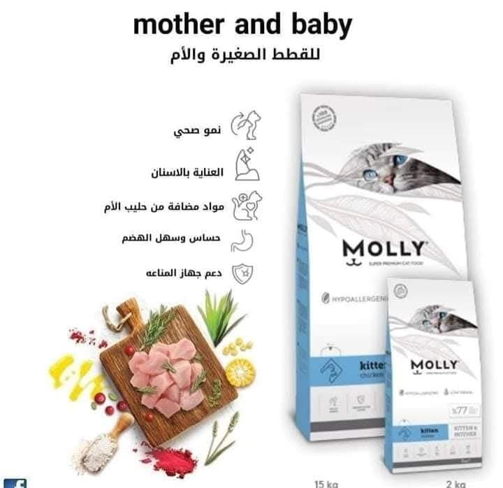 Molly Kitten & Mother - 2kg 2
