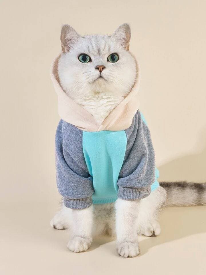 Hoodie - S 4