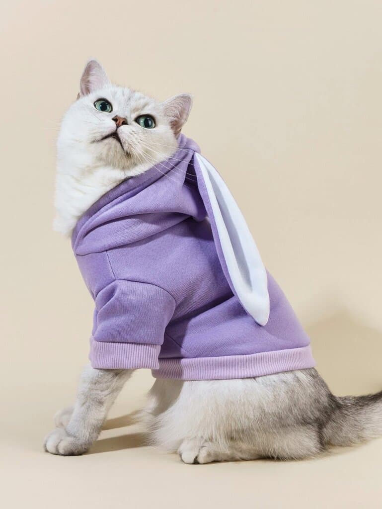 Hoodie S 2