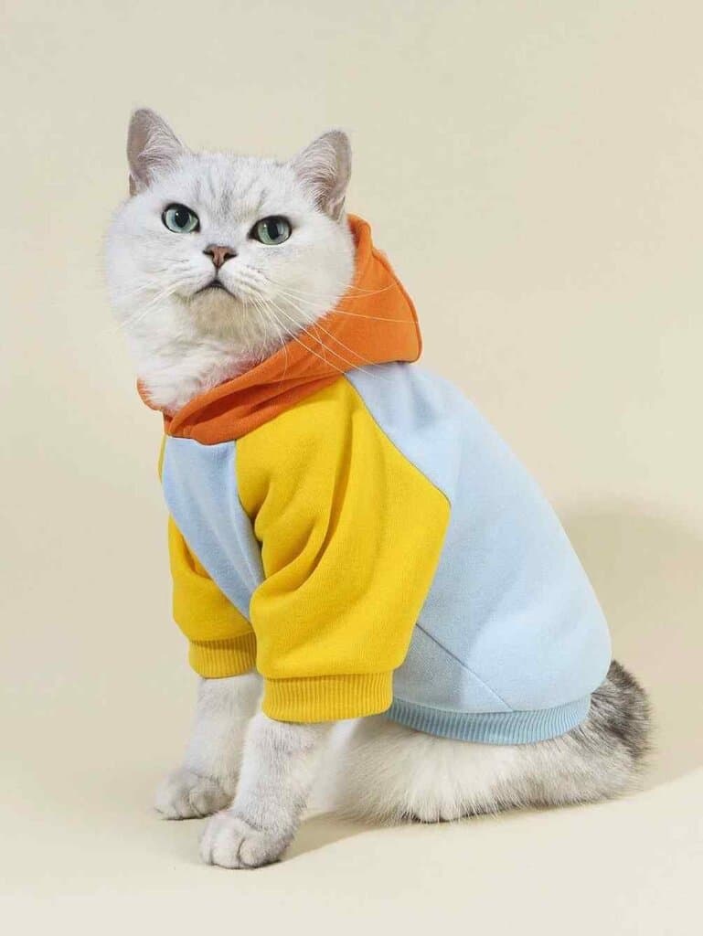Hoodie S 3