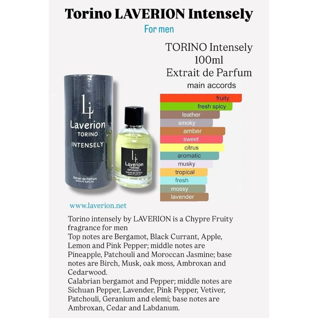 Laverion TORINO 3