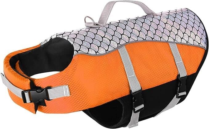 Dog Jacket - L