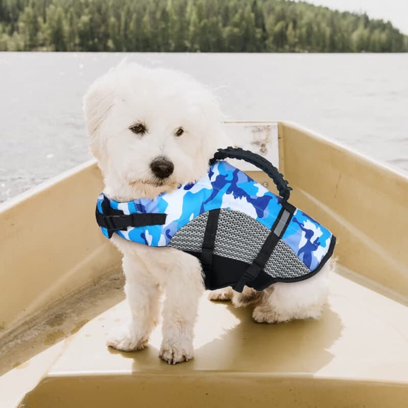 Dog Jacket - S 2