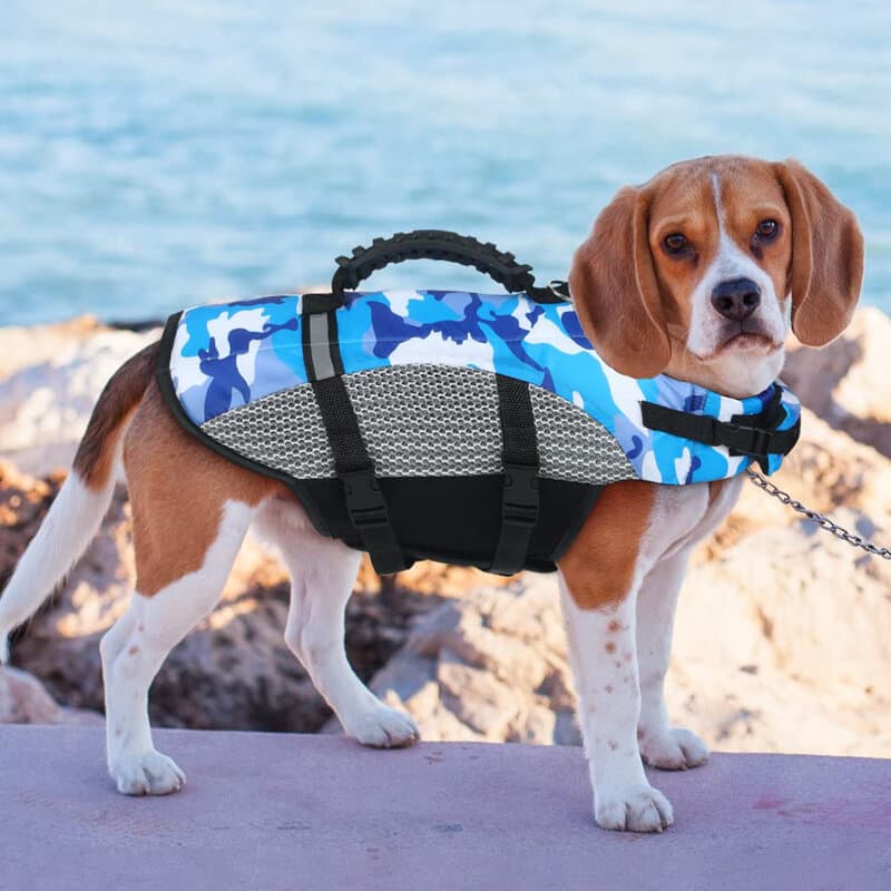 Dog Jacket - M 3