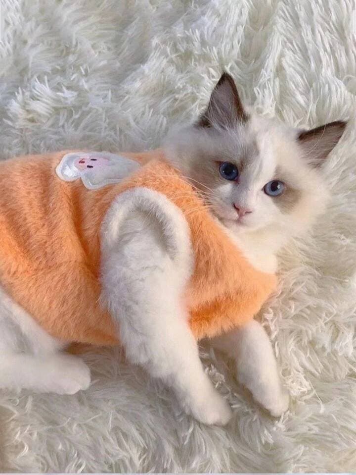 Cat Clothes - M 5