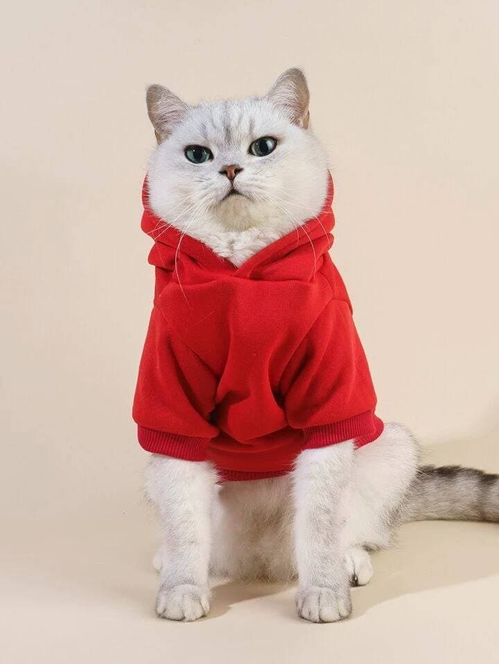 Hoodie - S 2
