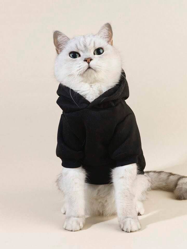 Hoodie - M 2