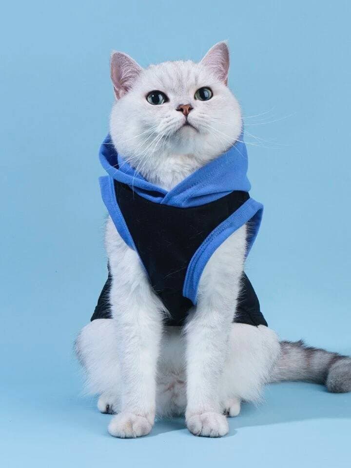 Hoodie - S 3