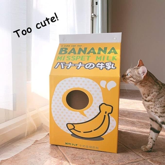 Cardboard Cat House 4