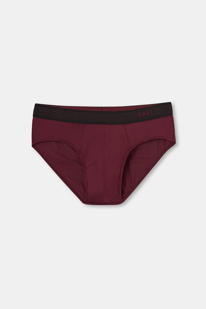 Dagi Men's Maroon Micro Modal Briefs