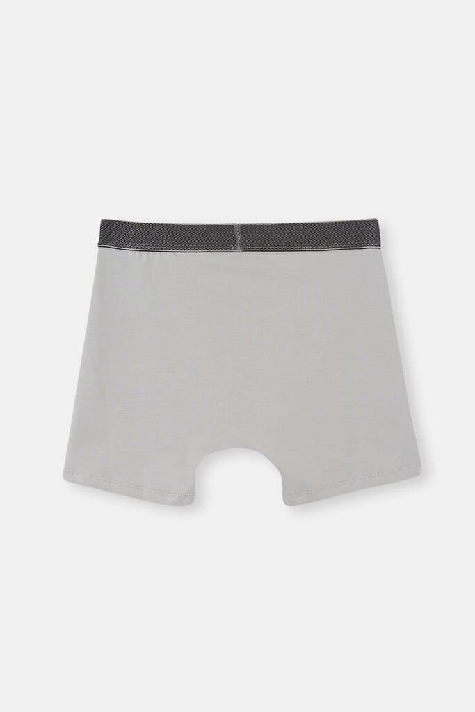 Dagi Gray Cotton Sport Boxer Shorts 2