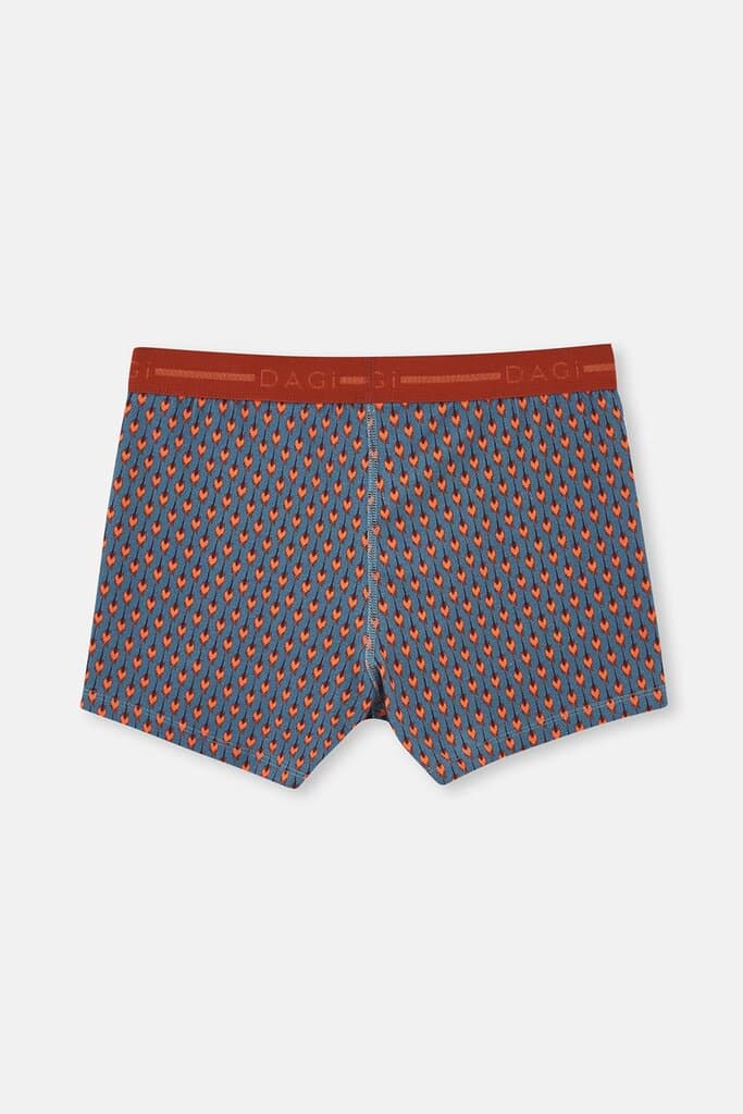 Dagi Blue Cotton Patterned 3-Pack Boxer Shorts 5