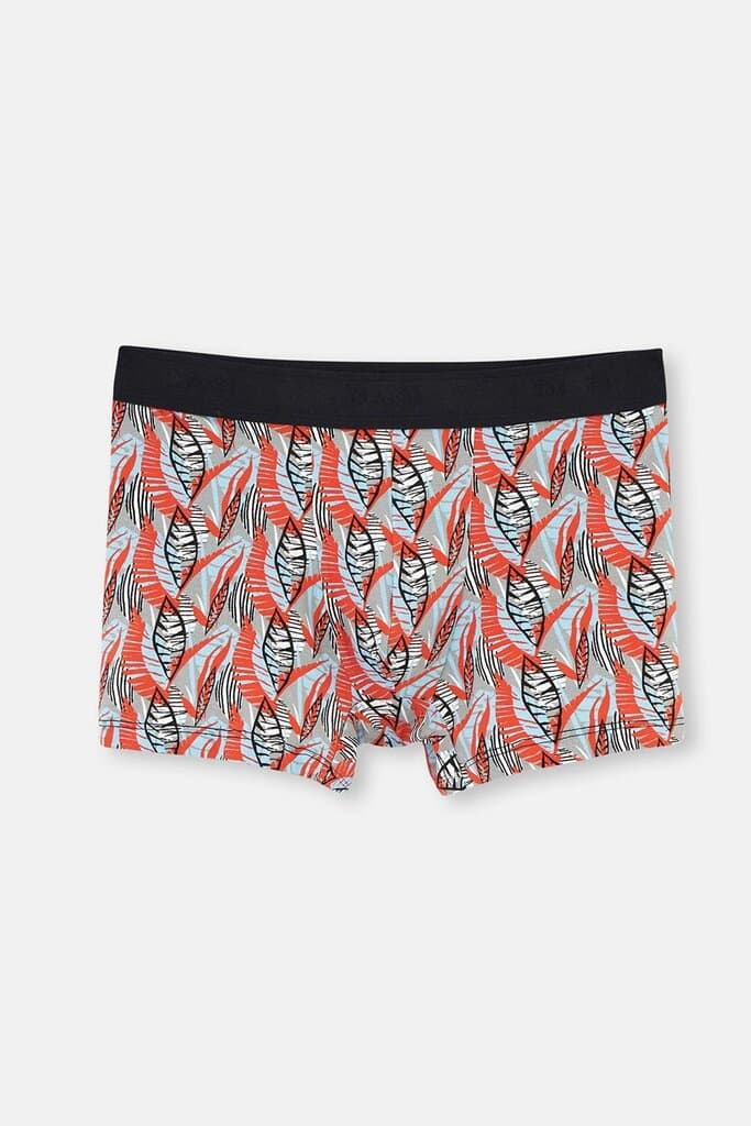 Dagi Grey Melange - Coral Compact Pattern Boxer Shorts
