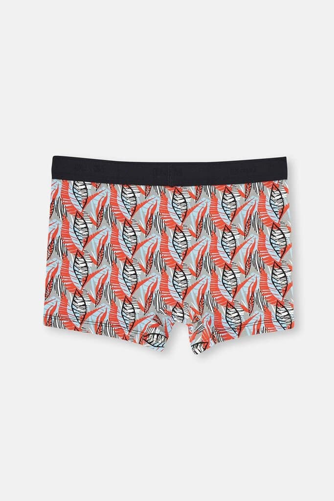 Dagi Grey Melange - Coral Compact Pattern Boxer Shorts 2
