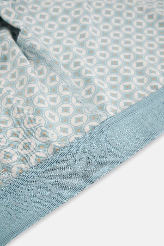 Dagi Aqua Green 4210 Patterned Micro Modal Boxer Shorts 3