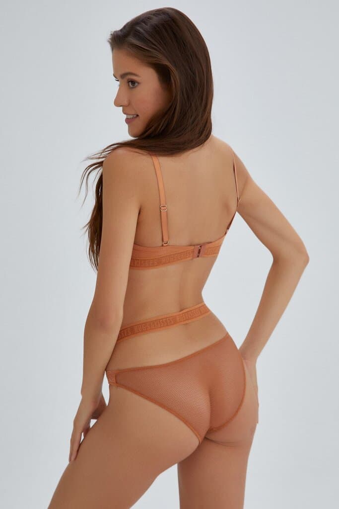 Dagi Cinnamon Vera High-Waisted Briefs 2