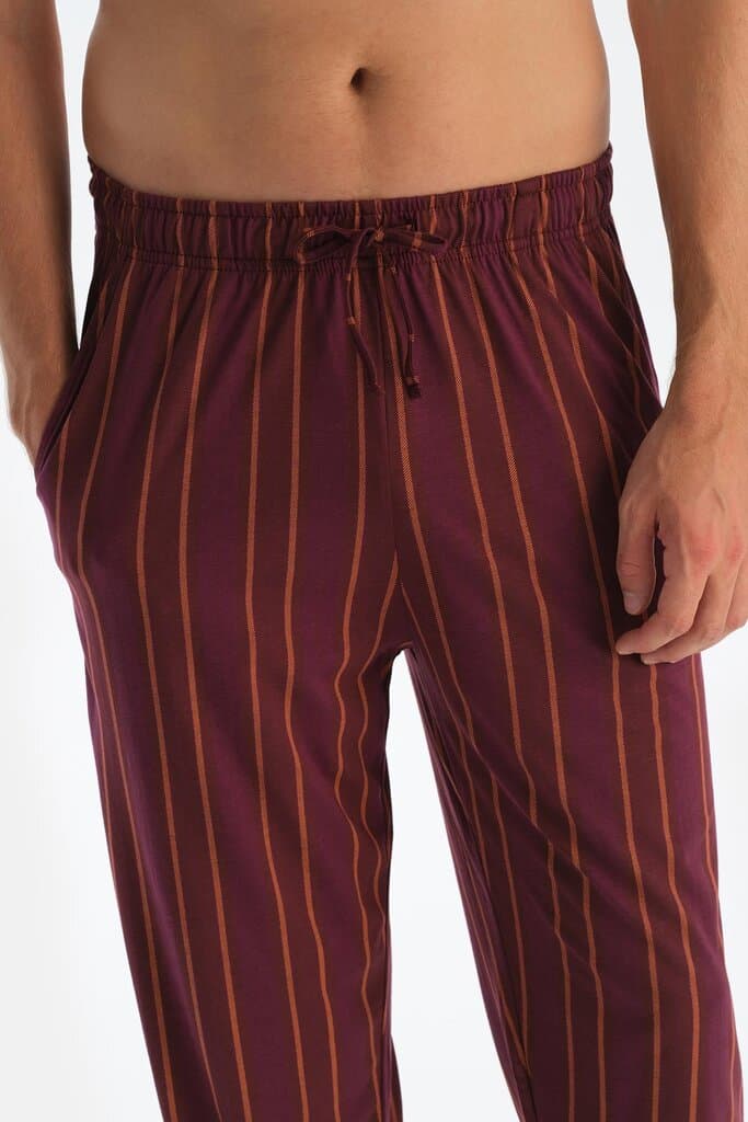Dagi Burgundy Striped Long-Sleeve Shirt and Pant Pajama Set 6