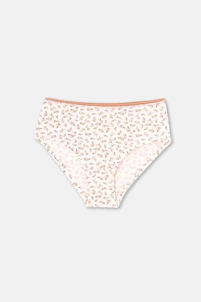 Dagi Women's 2-Pack Cotton Hipster Panties Assorted 3