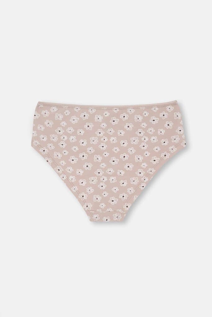 Dagi Women's 2-Pack Cotton Hipster Panties Assorted 4