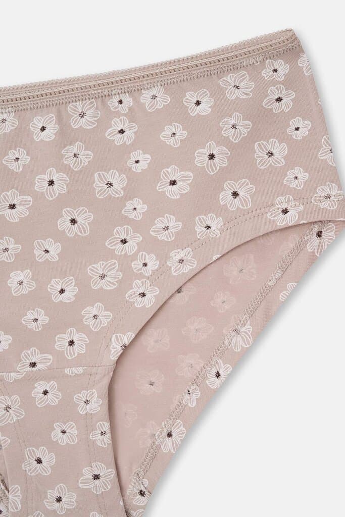 Dagi Women's 2-Pack Cotton Hipster Panties Assorted 5