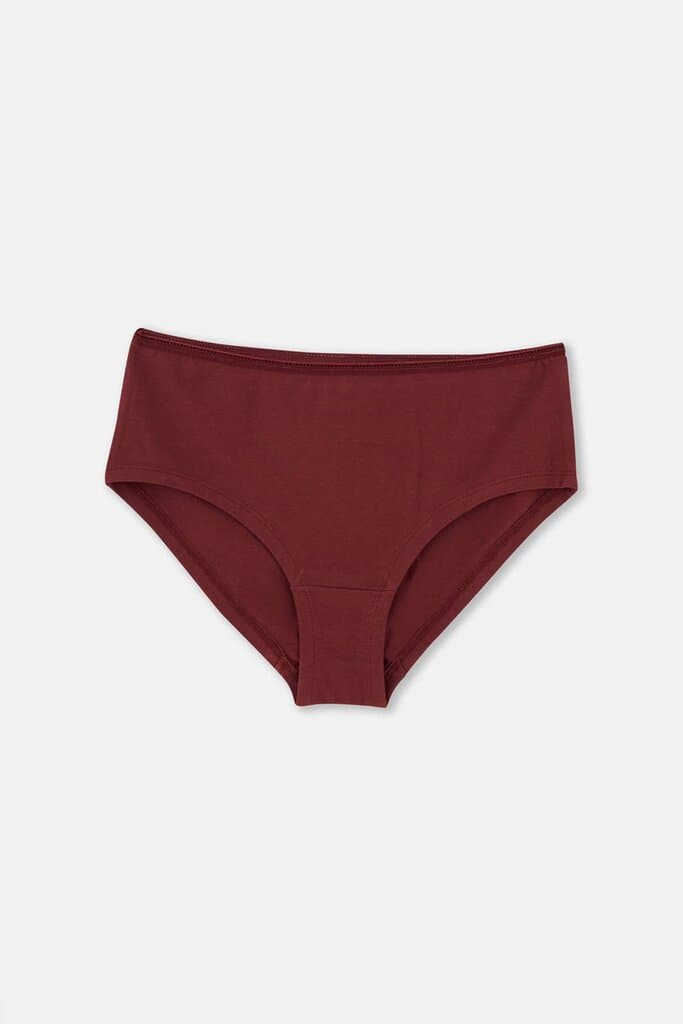 Dagi Women's 2-Pack Cotton Hipster Panties Assorted 3
