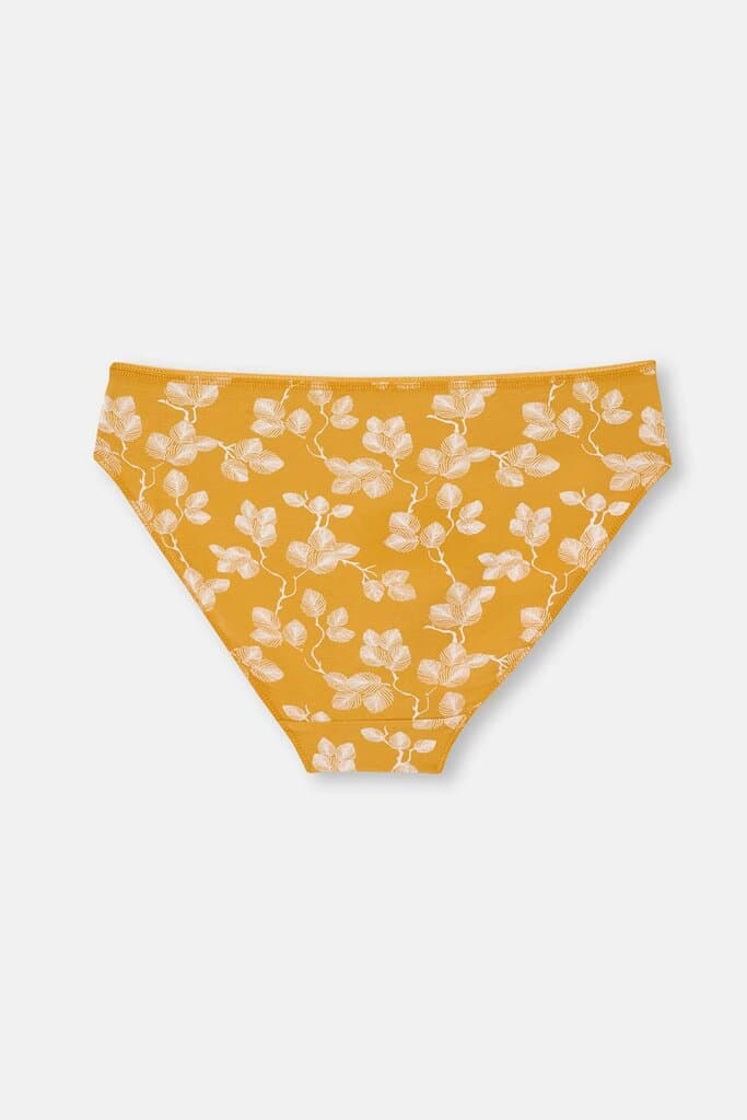 Dagi Women's 2-Pack Cotton Briefs Assorted 3