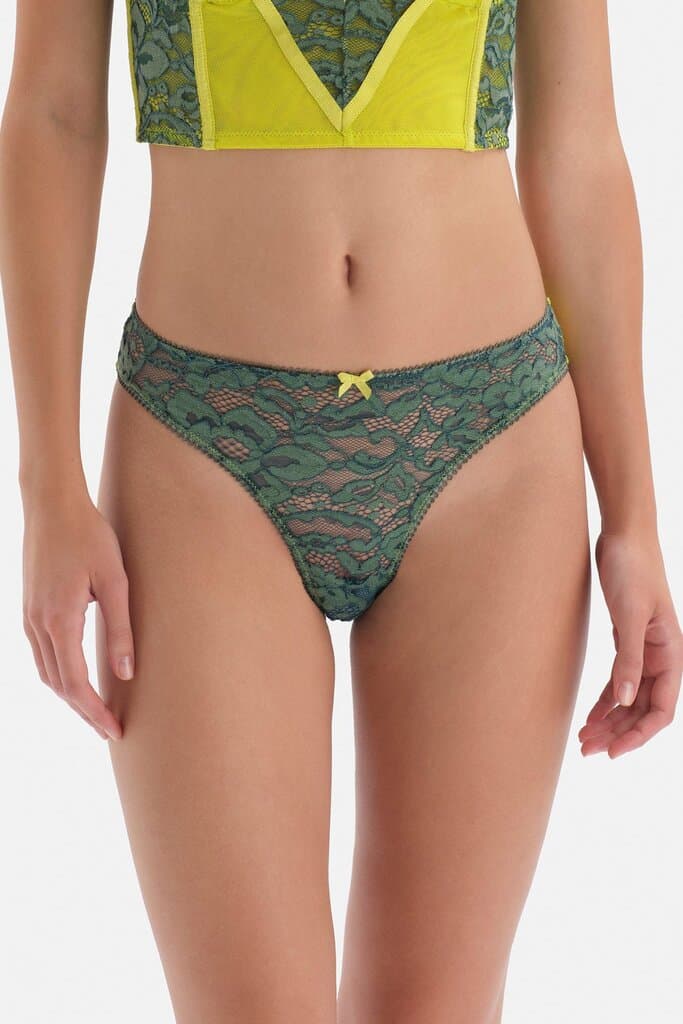 Dagi Green Backless Lace Hipster Panty with Mesh Detail