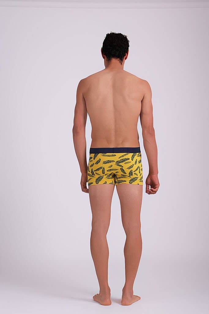 Dagi D5410 Compact Leaf-Pattern Boxer Shorts 3