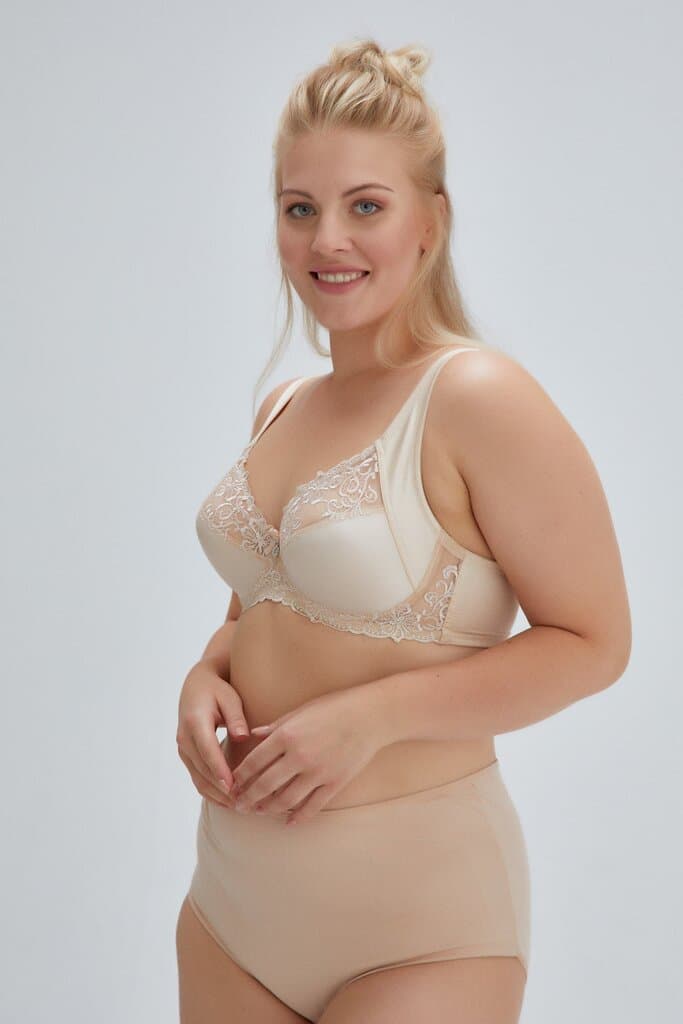 Dagi Ten Carolin Minimizer Bra 3