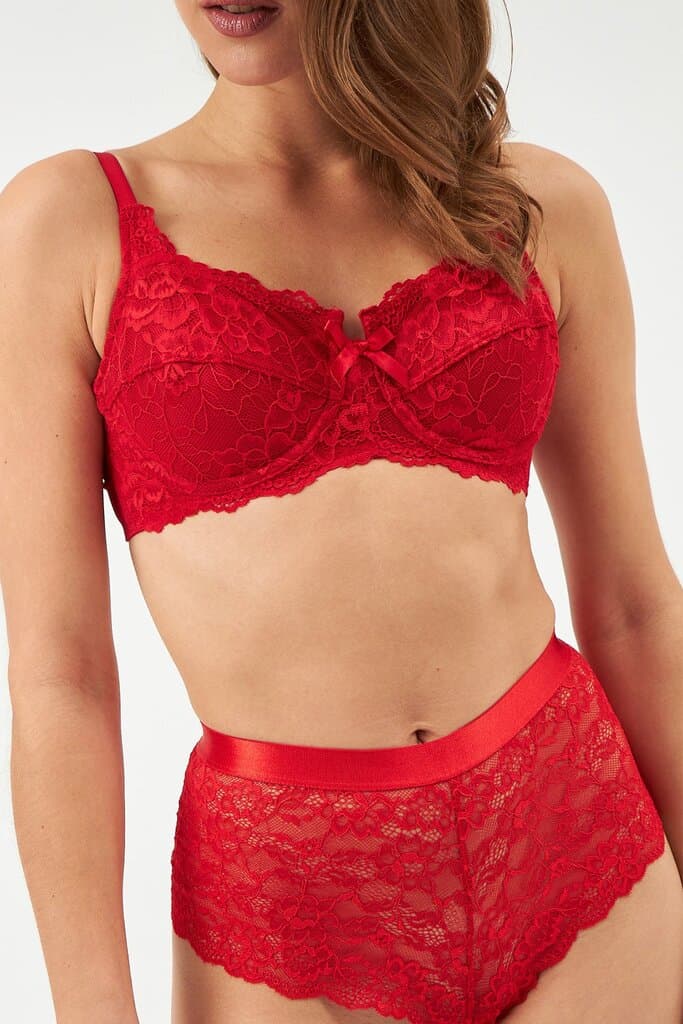 Dagi Red Underwire Lace Shaping Bra 4