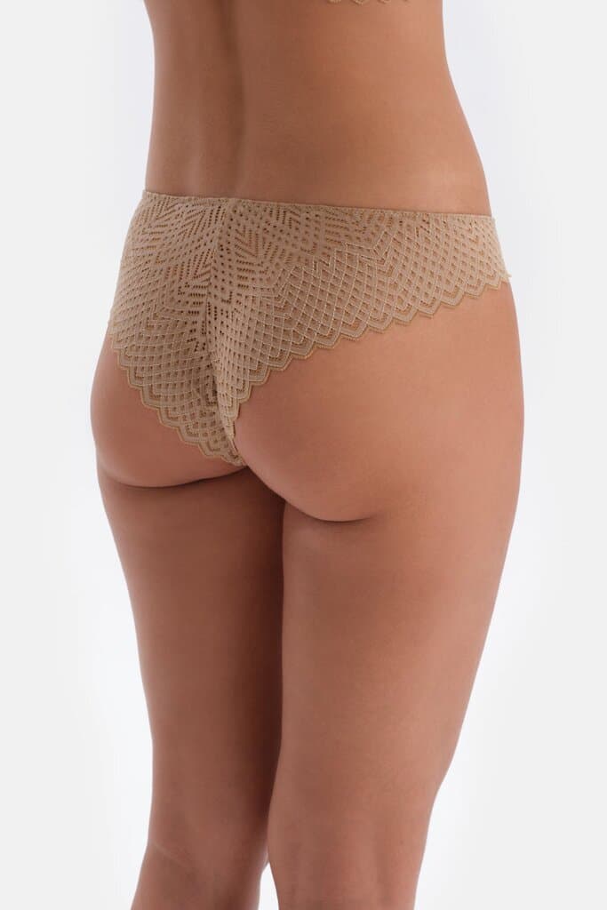 Dagi Premium Lace-Detailed Hipster Briefs for Darker Skin Tones 2