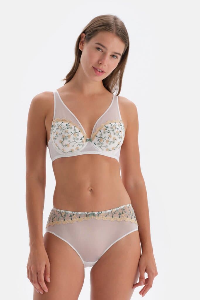 Dagi Hipster Underwear with Ecru Floral Embroidery 7