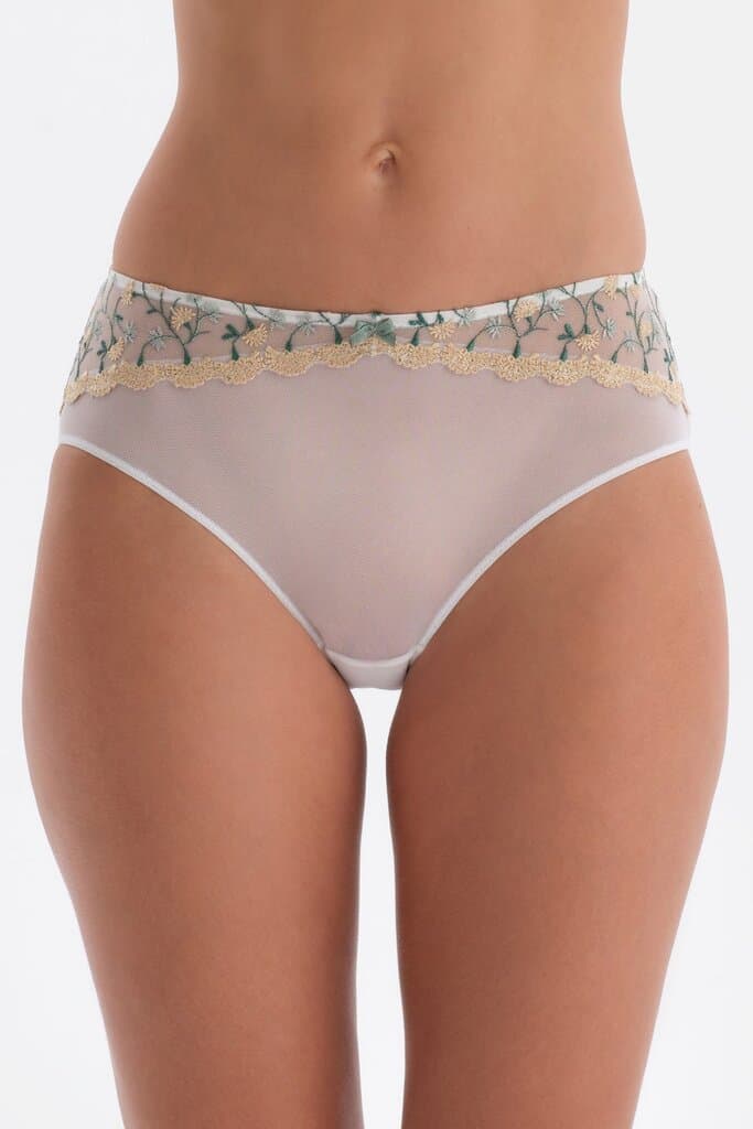 Dagi Hipster Underwear with Ecru Floral Embroidery 2
