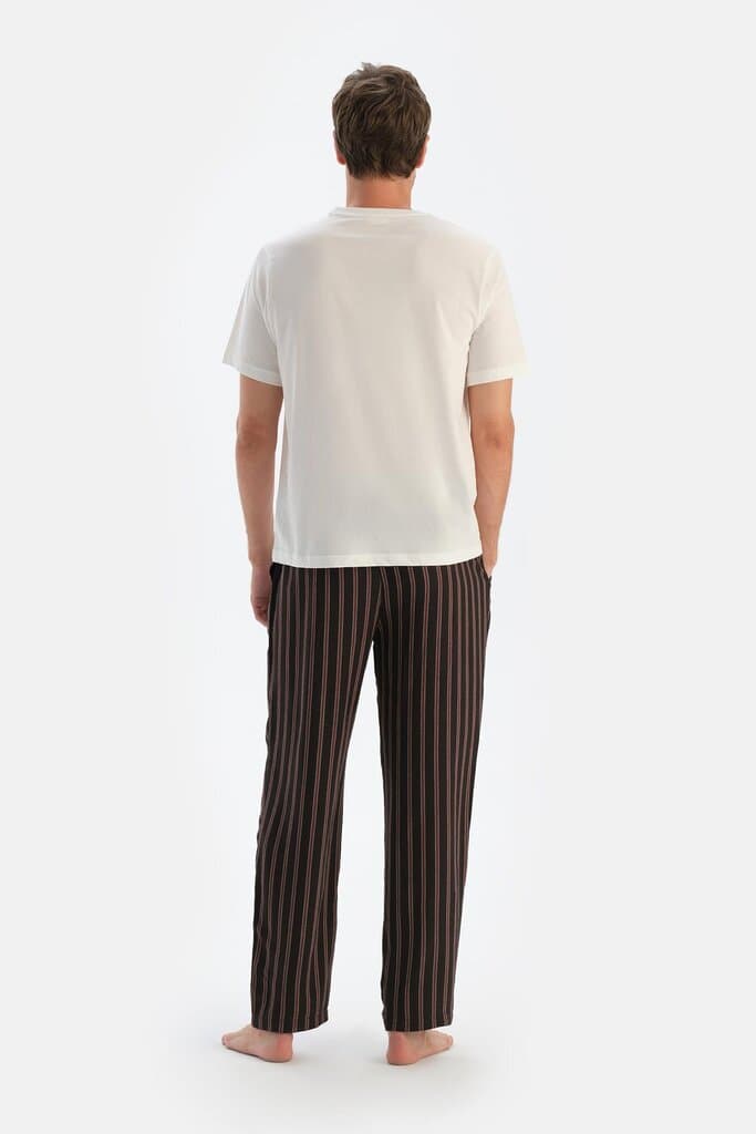 Dagi Brown Striped Viscose Woven Trousers 2