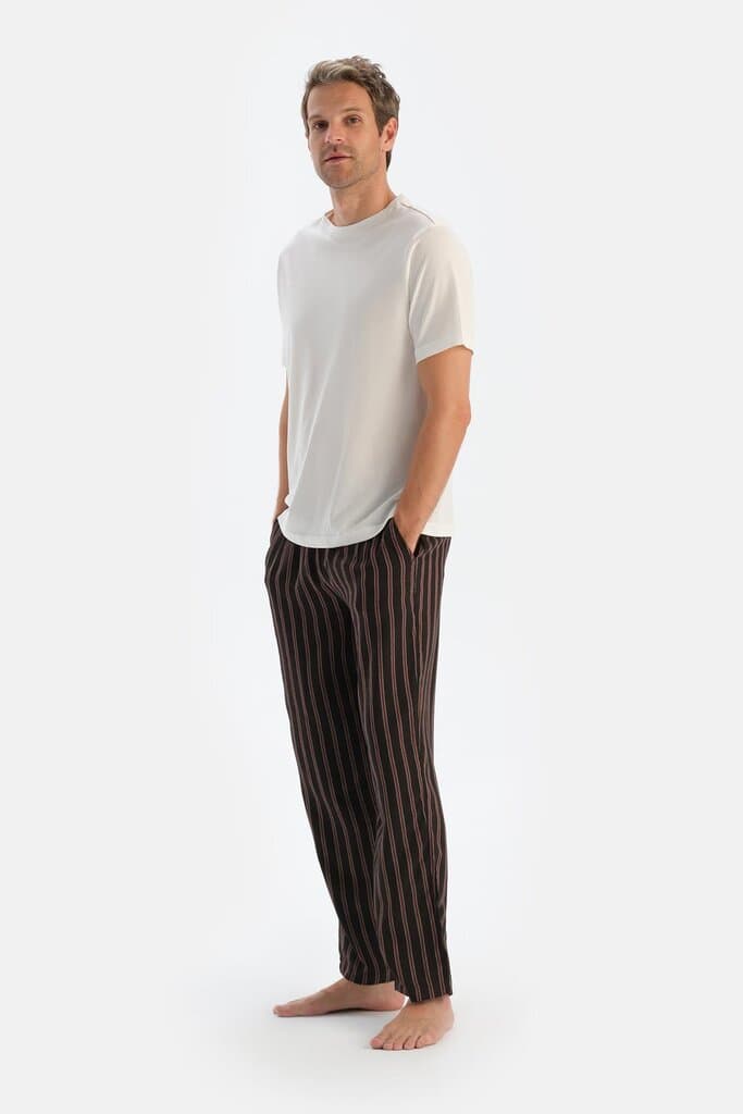 Dagi Brown Striped Viscose Woven Trousers 3