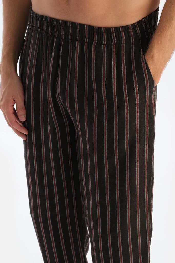 Dagi Brown Striped Viscose Woven Trousers 4