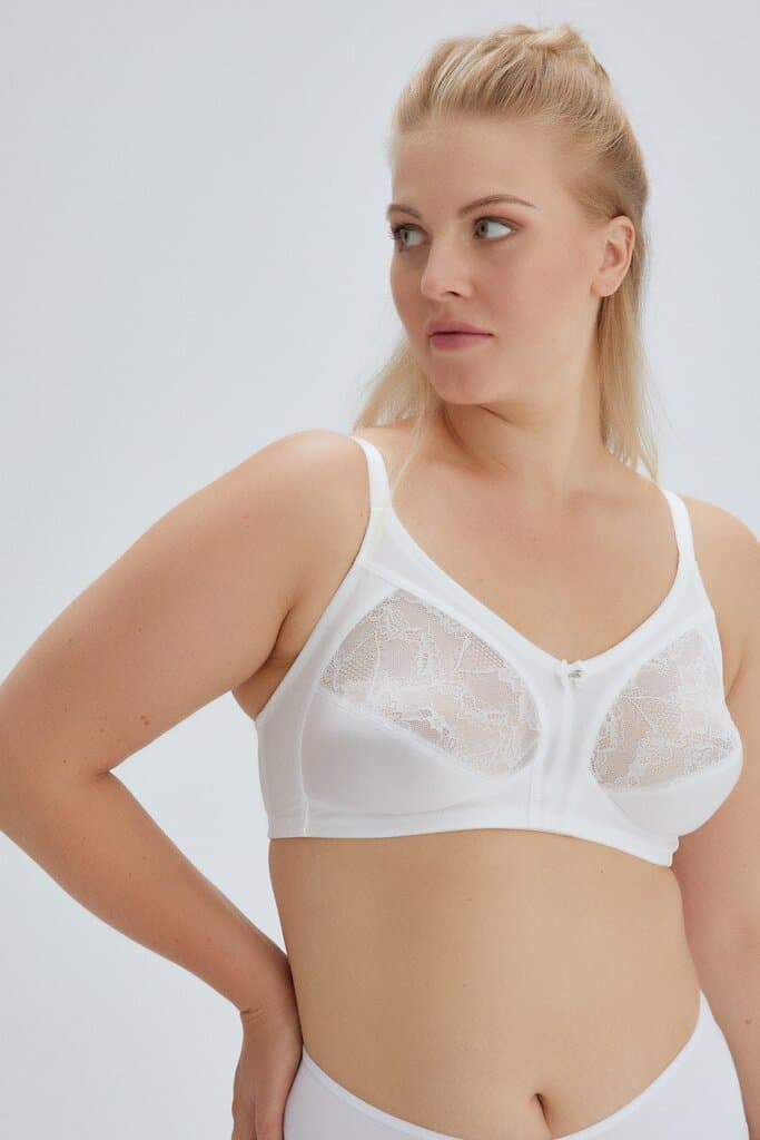 Dagi Ecru Diana Minimizer Bra 3