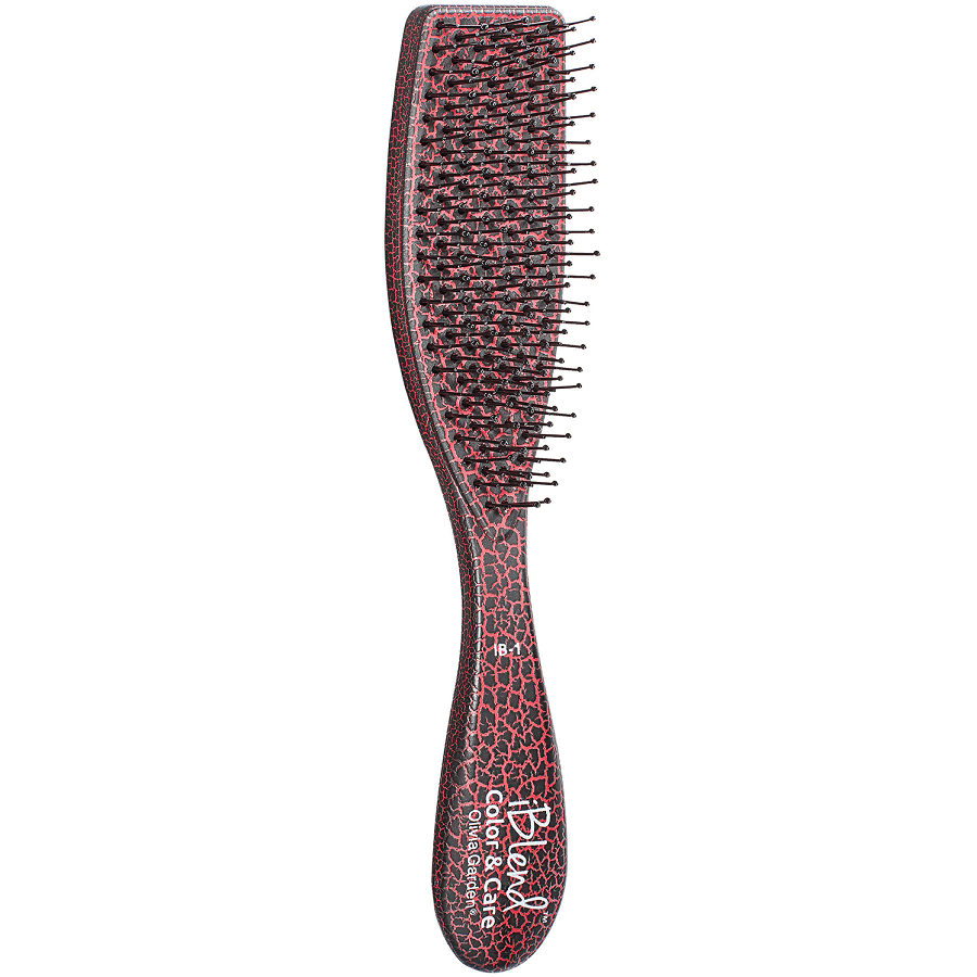 iBlend Color & Care Brush