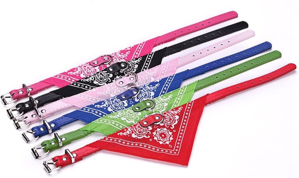 Collar - S 2