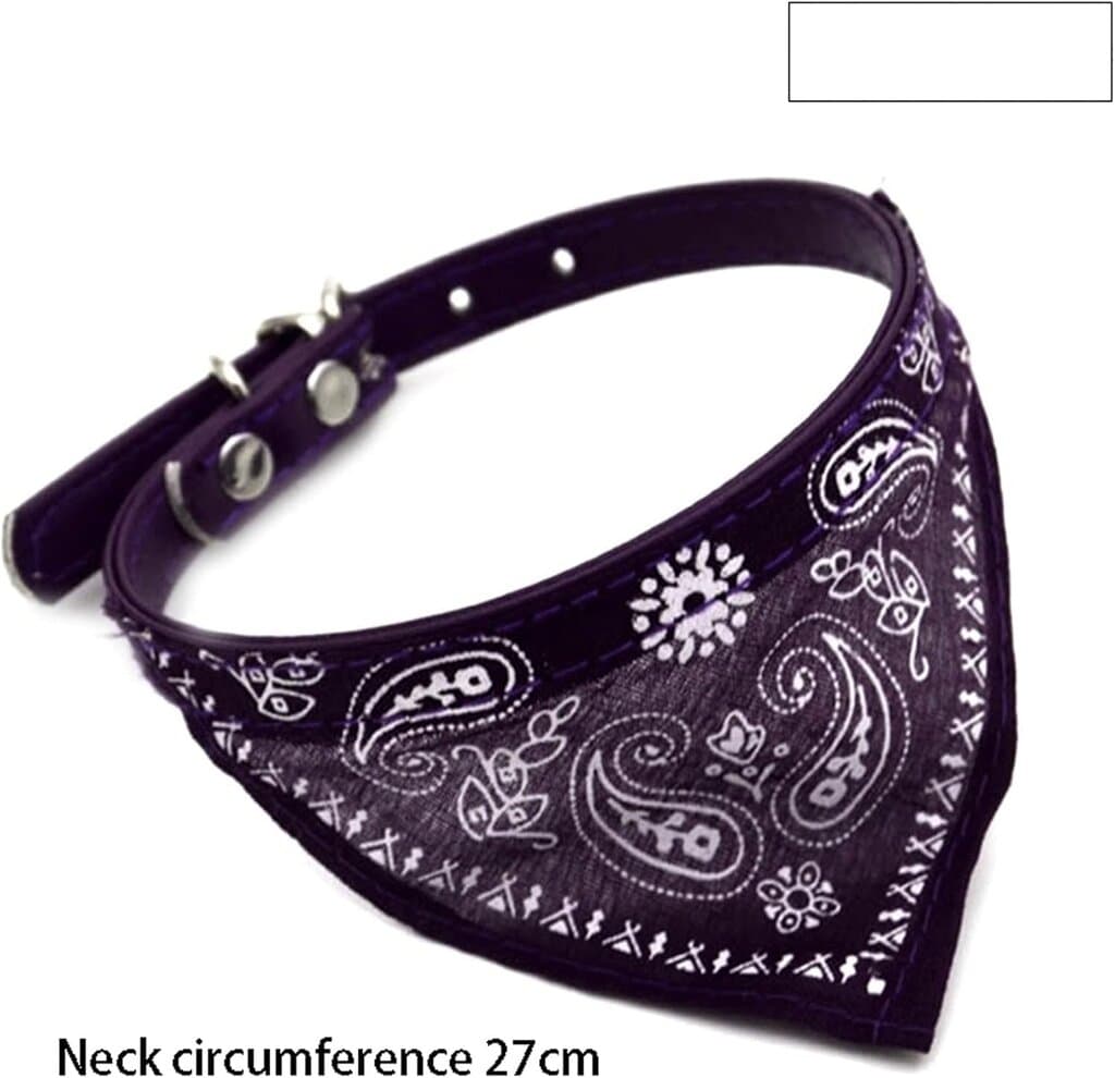 Collar - S 3