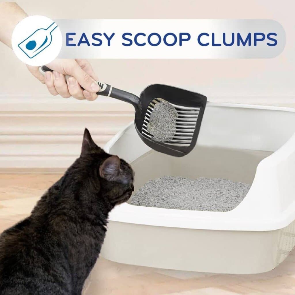 Cat's Pride Easy Scoop - 10lb 4