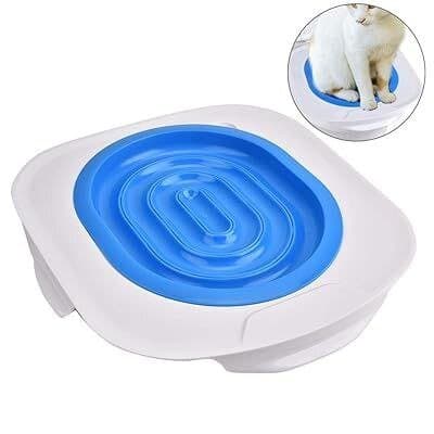 Toilet Trainer 4