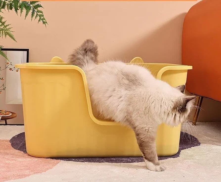 Large Litter Box L - 50cm 4