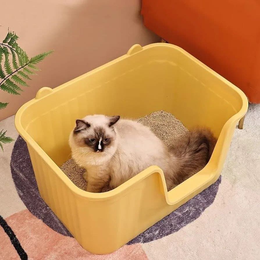 Large Litter Box L - 50cm 5