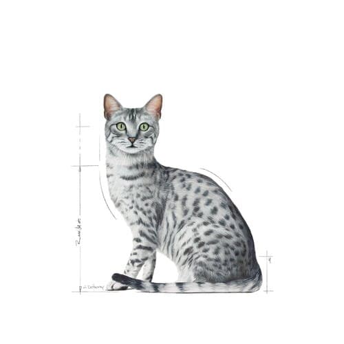 Royal Canin Indoor Sterilised - 1x 3