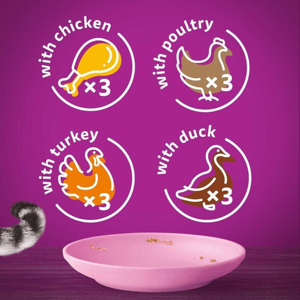 Whiskas Kitten Poultry Feast in Jelly - 12X 2